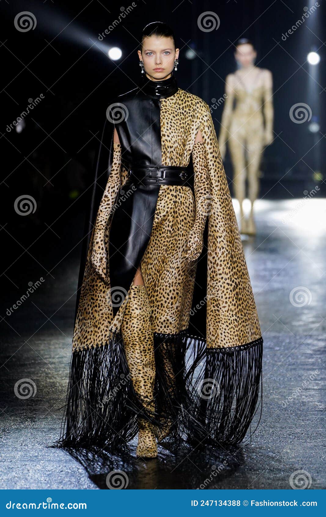 transactie Ophef pil A Model Walks the Runway at the Roberto Cavalli Fashion Show Editorial  Stock Photo - Image of glamor, italy: 247134388