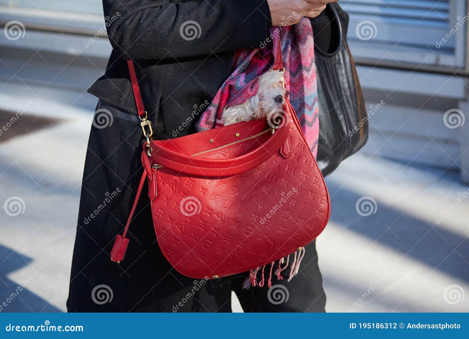 Woman with with Dog in Red Louis Vuitton Red Bag before Giorgio Armani  Fashion Show, Milan Fashion Week Street Editorial Photography - Image of  leather, outdoor: 195186312