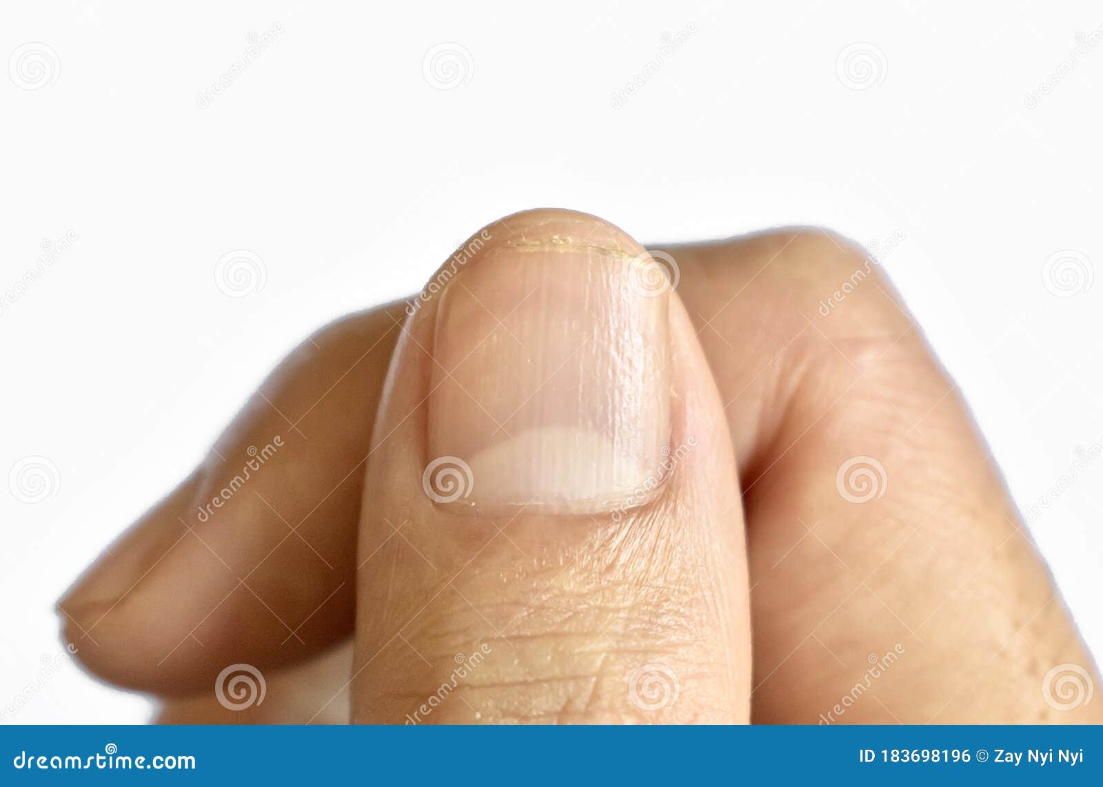 Finger with nail icon line Royalty Free Vector Image