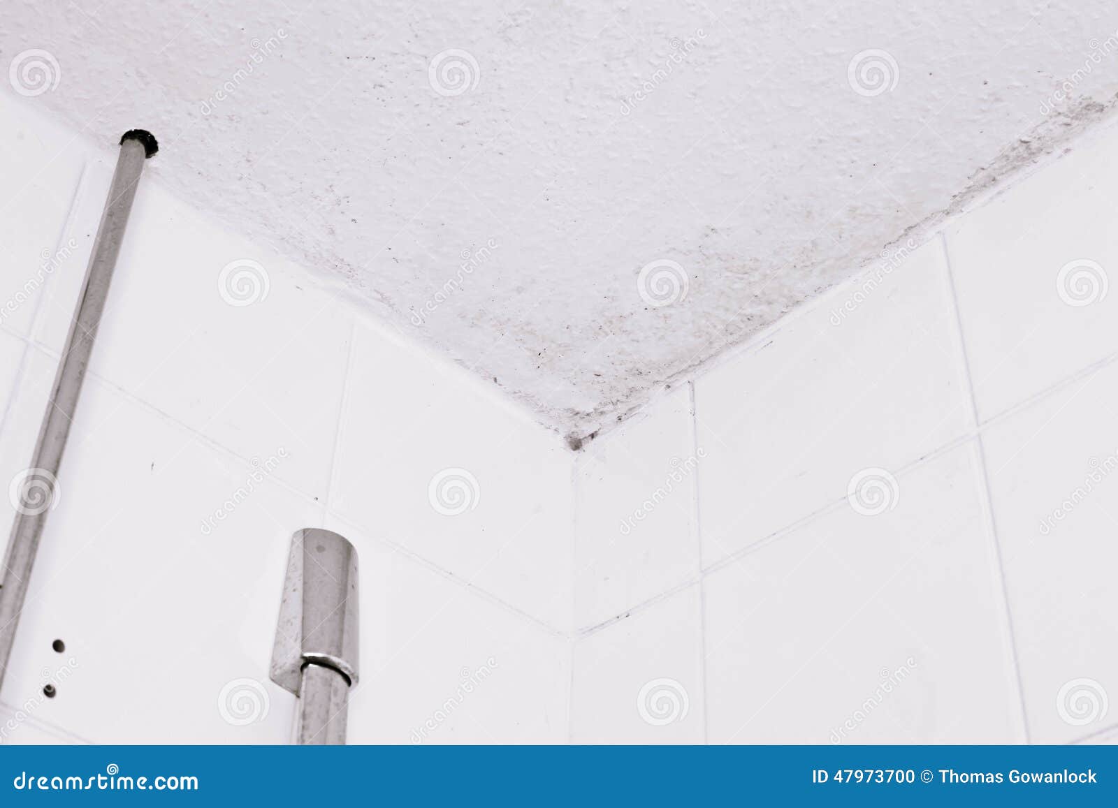 Mildew Stock Photo Image Of Tear Damaged Leak Bathroom