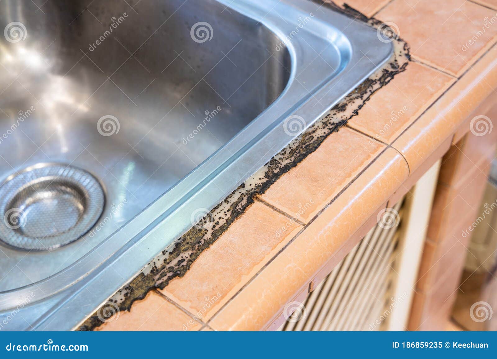 under kitchen sink smells like mildew