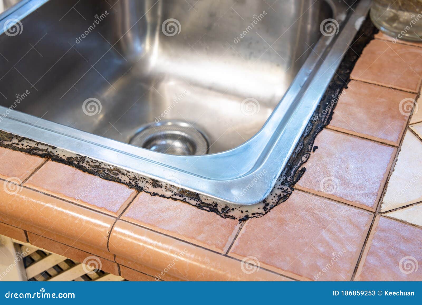 mold remediation under kitchen sink