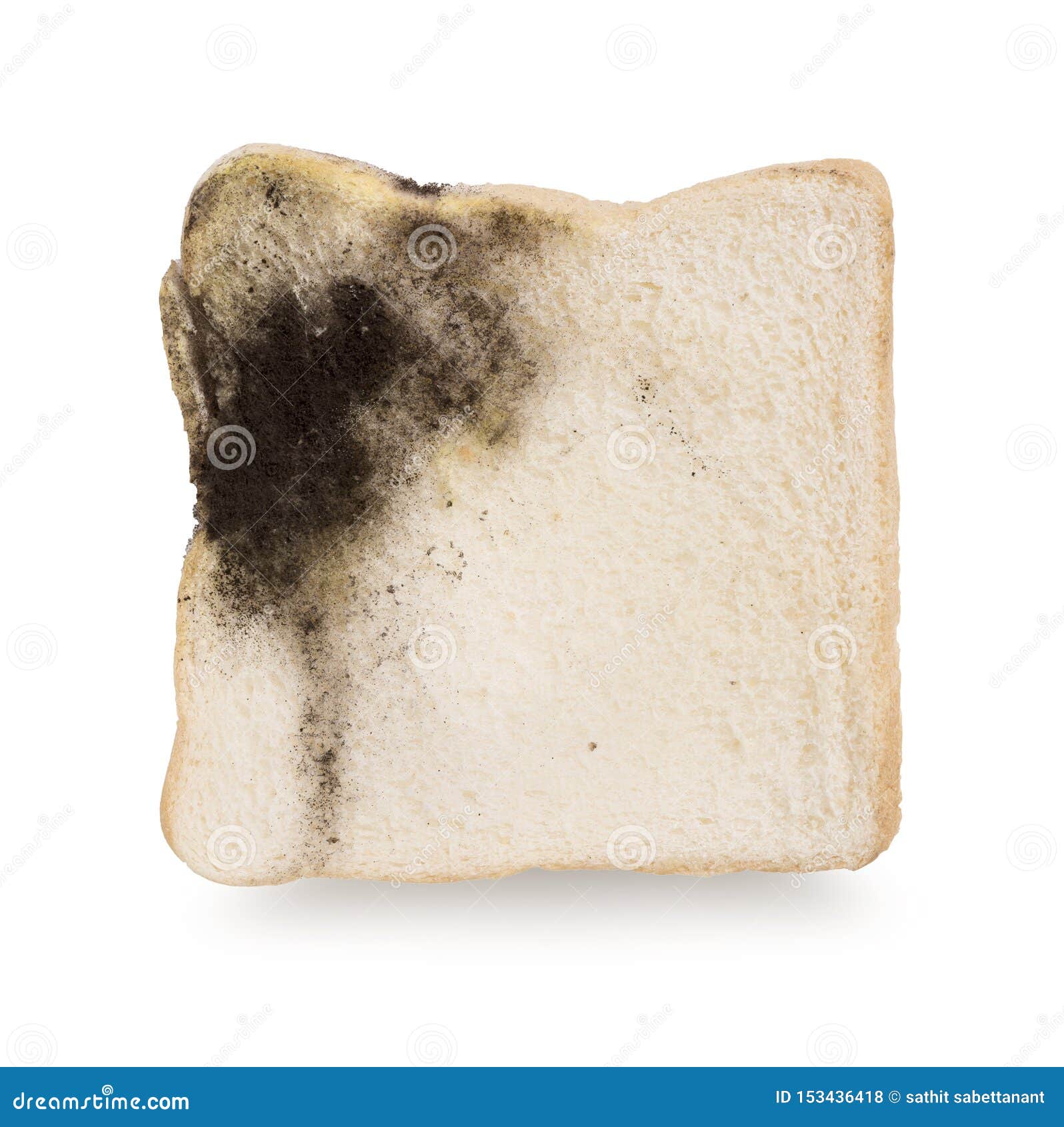 Mildew on a Slice of Bread. Stale Bread Stock Photo Image of eating