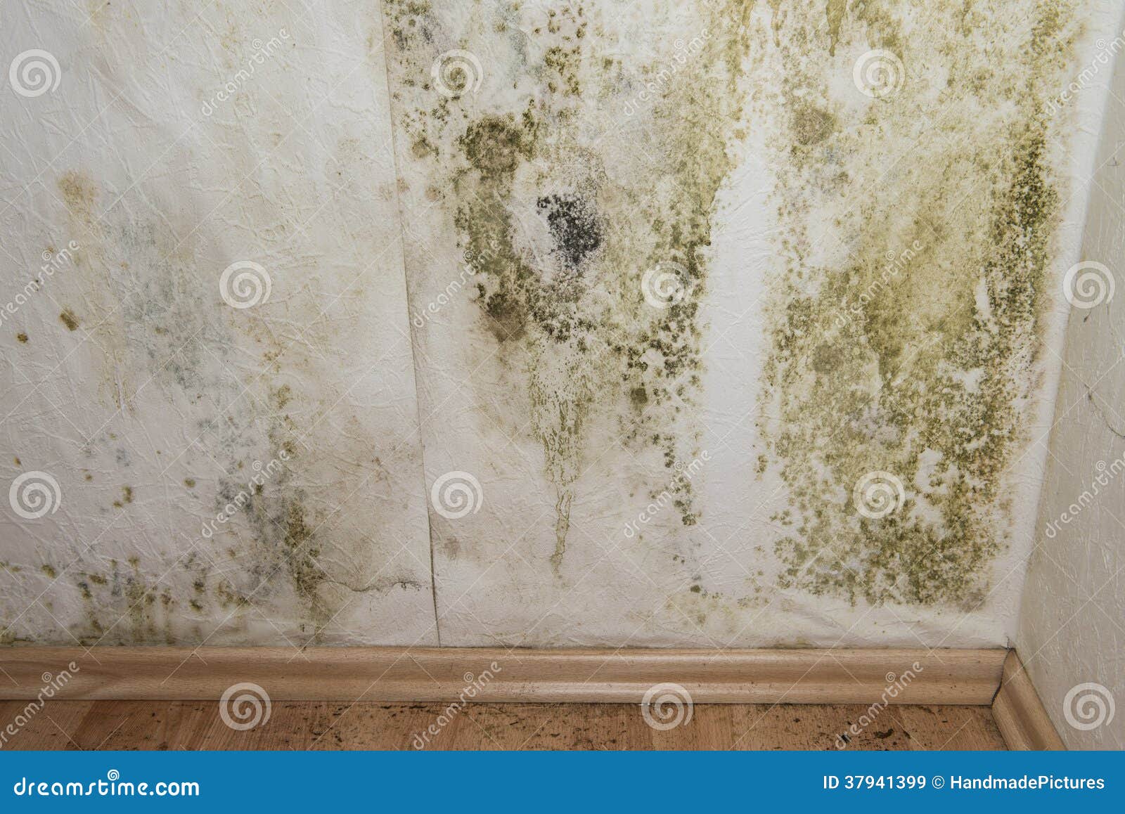 mildewed walls