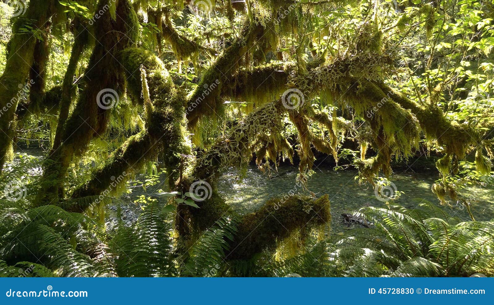 milford track, new zealand