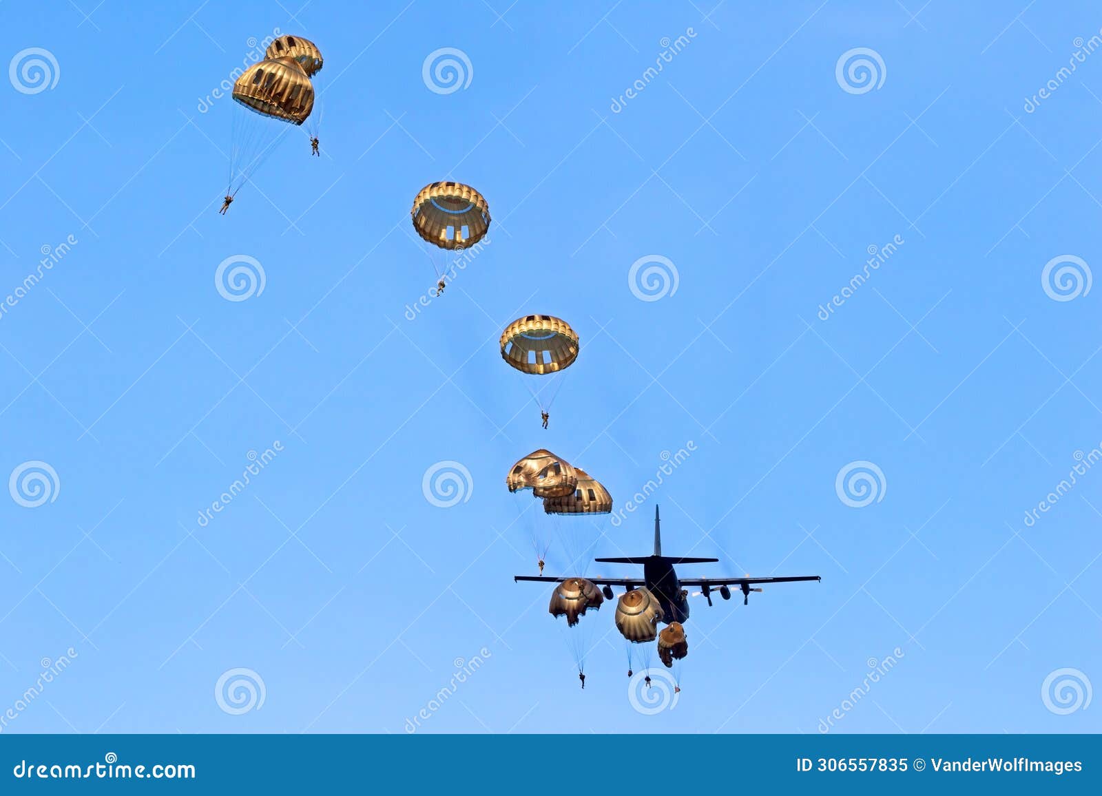 military parachutist paratroopers parachute jumping