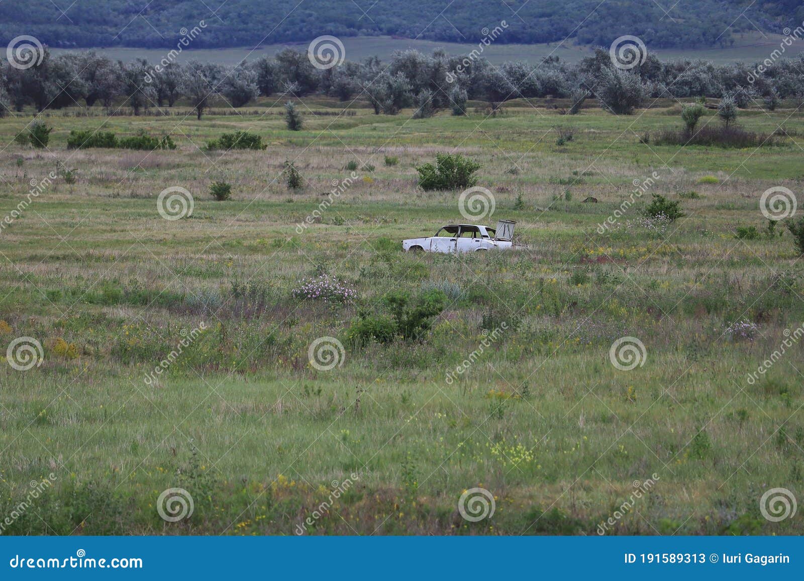military range for target shooting, body from a former car in an open field
