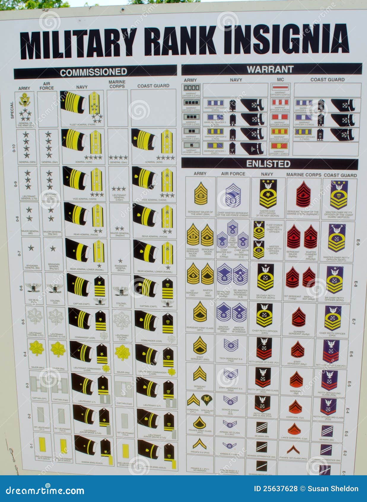 Military Rank Insignia Chart Editorial Stock Photo - Image of rank,  enlisted: 25637628