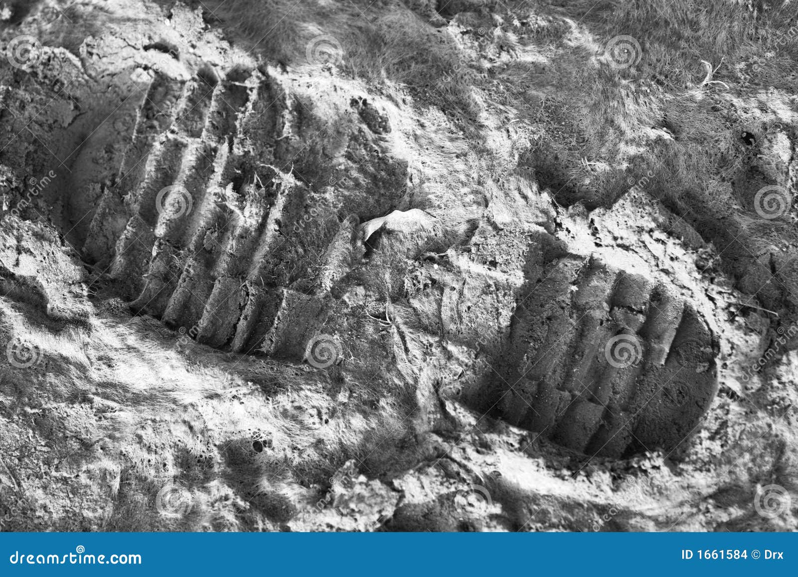 military shoe track stock images image 1661584 concrete imprint design