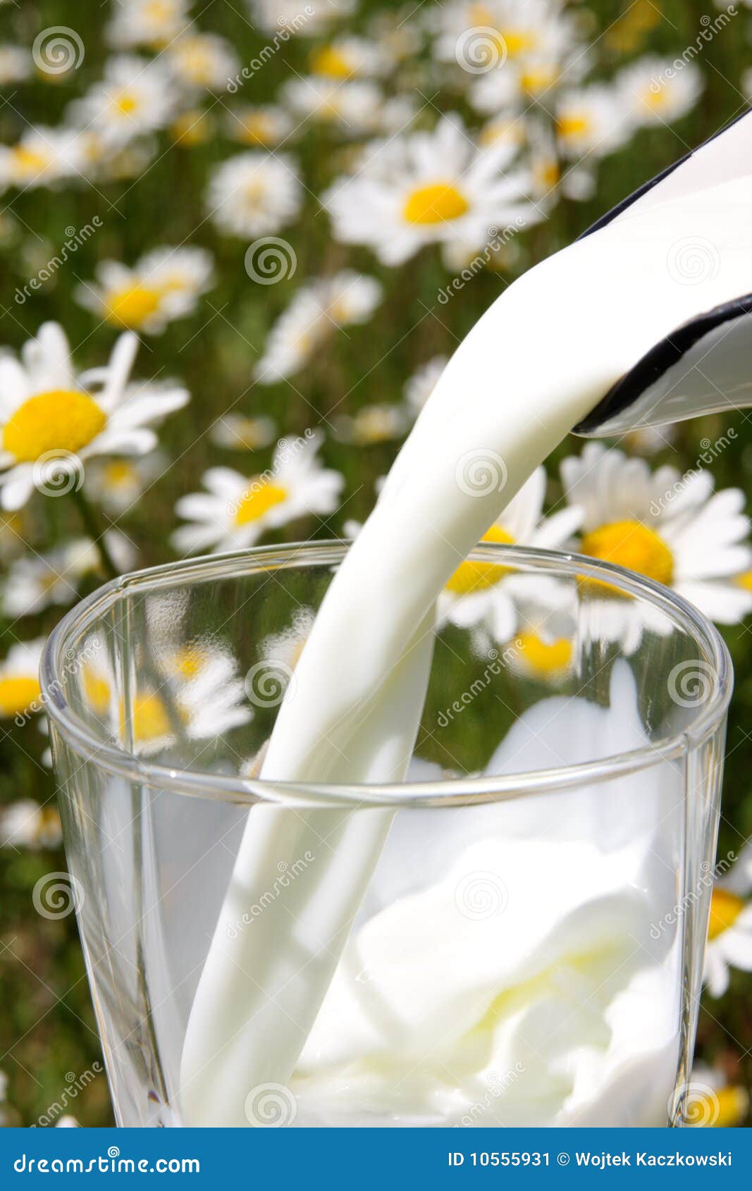 Milk stock image. Image of flower, health, ecological 10555931