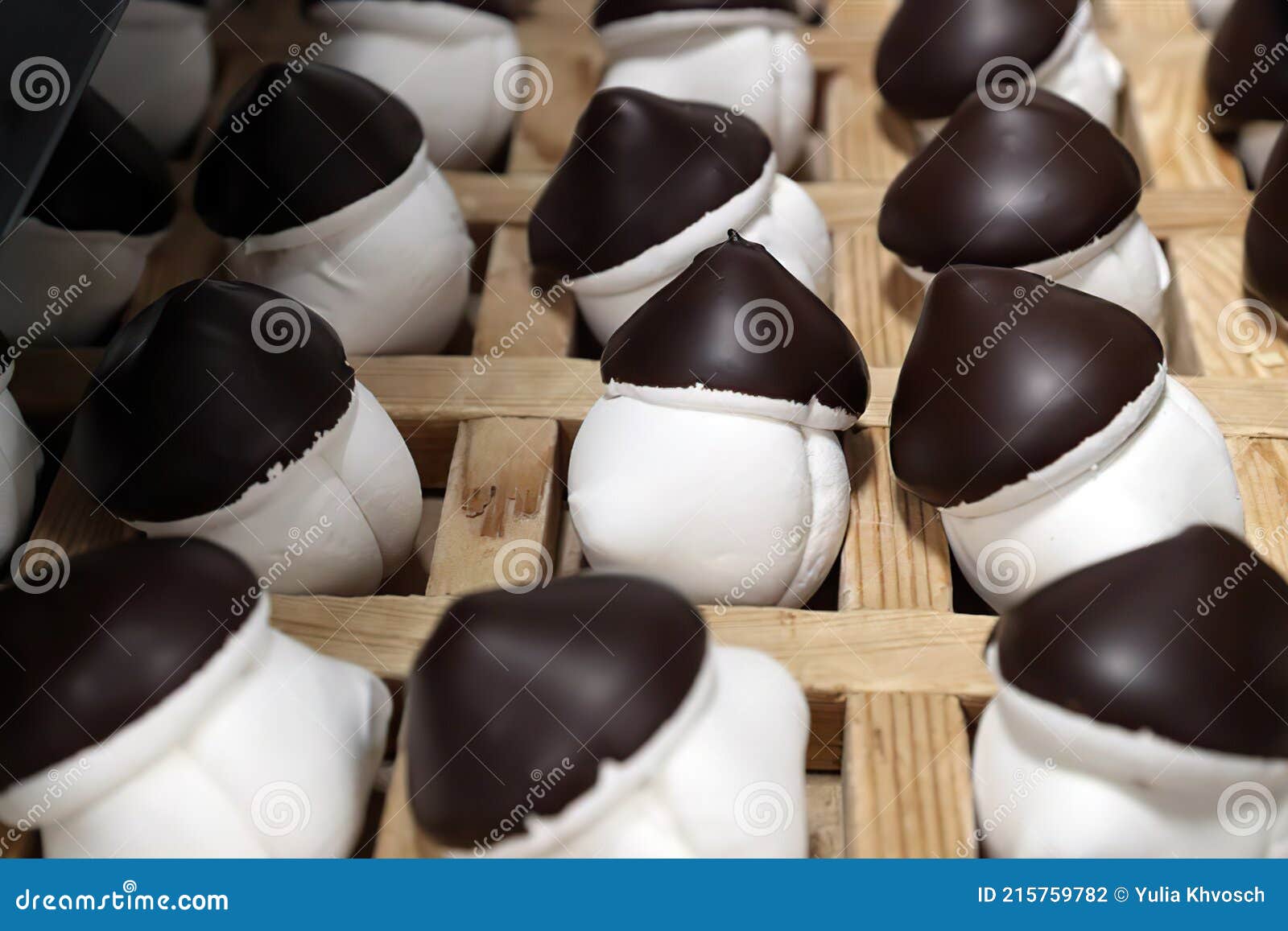 Milkchocolate Dessert in the Shape of Mushrooms Stock Photo Image of