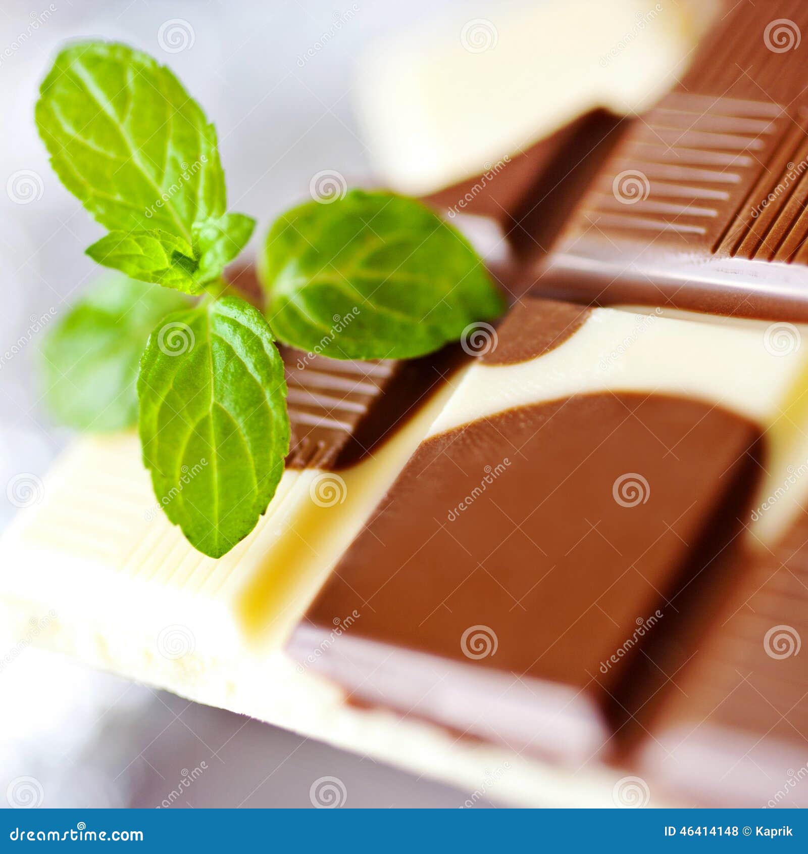 Milk Chocolate with Fresh Mint Stock Photo Image of white, fresh