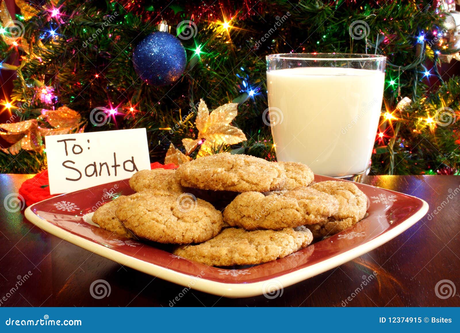 milk and cookies for santa