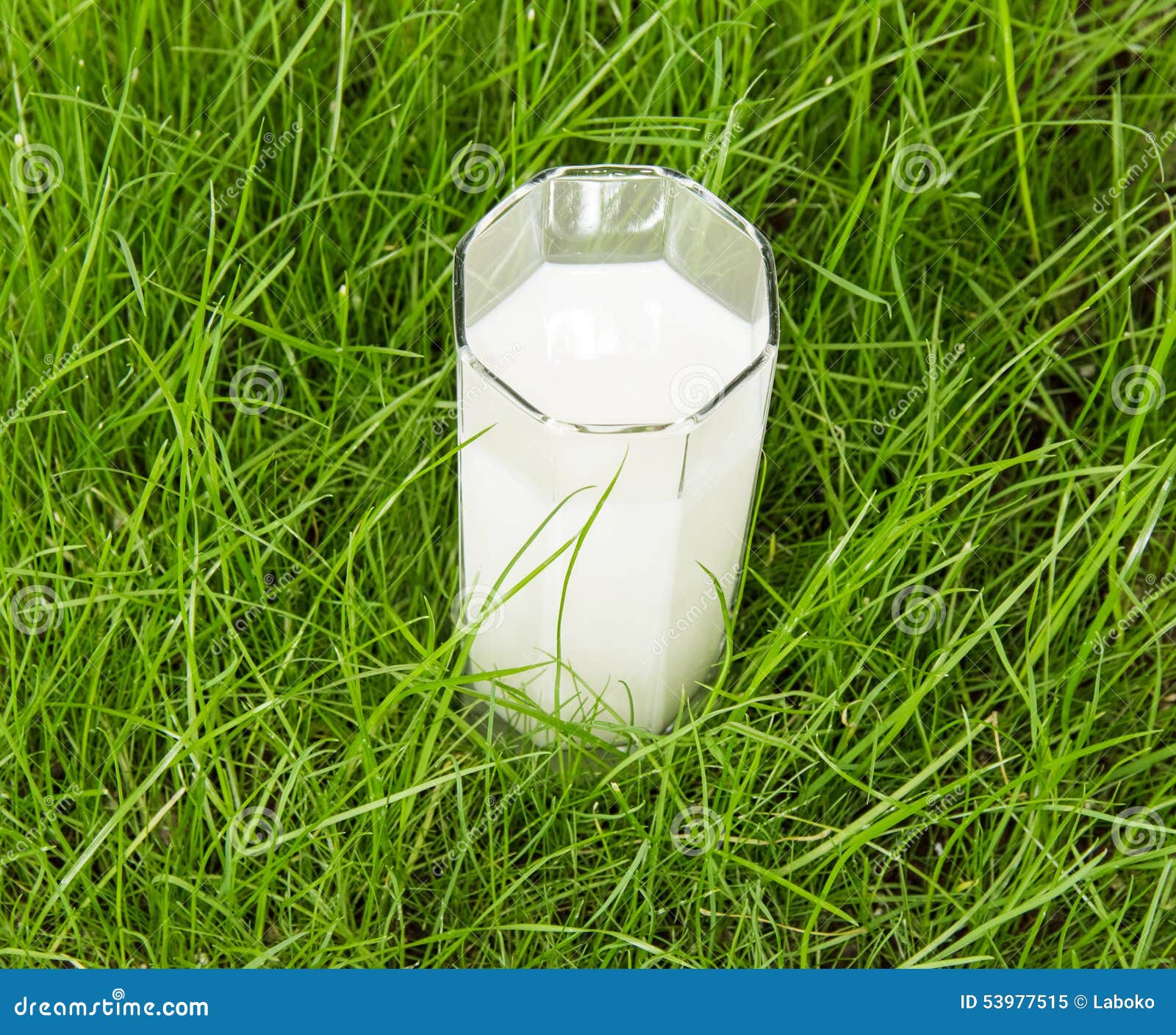 Milk on grass stock image. Image of dairy, health, bright 53977515
