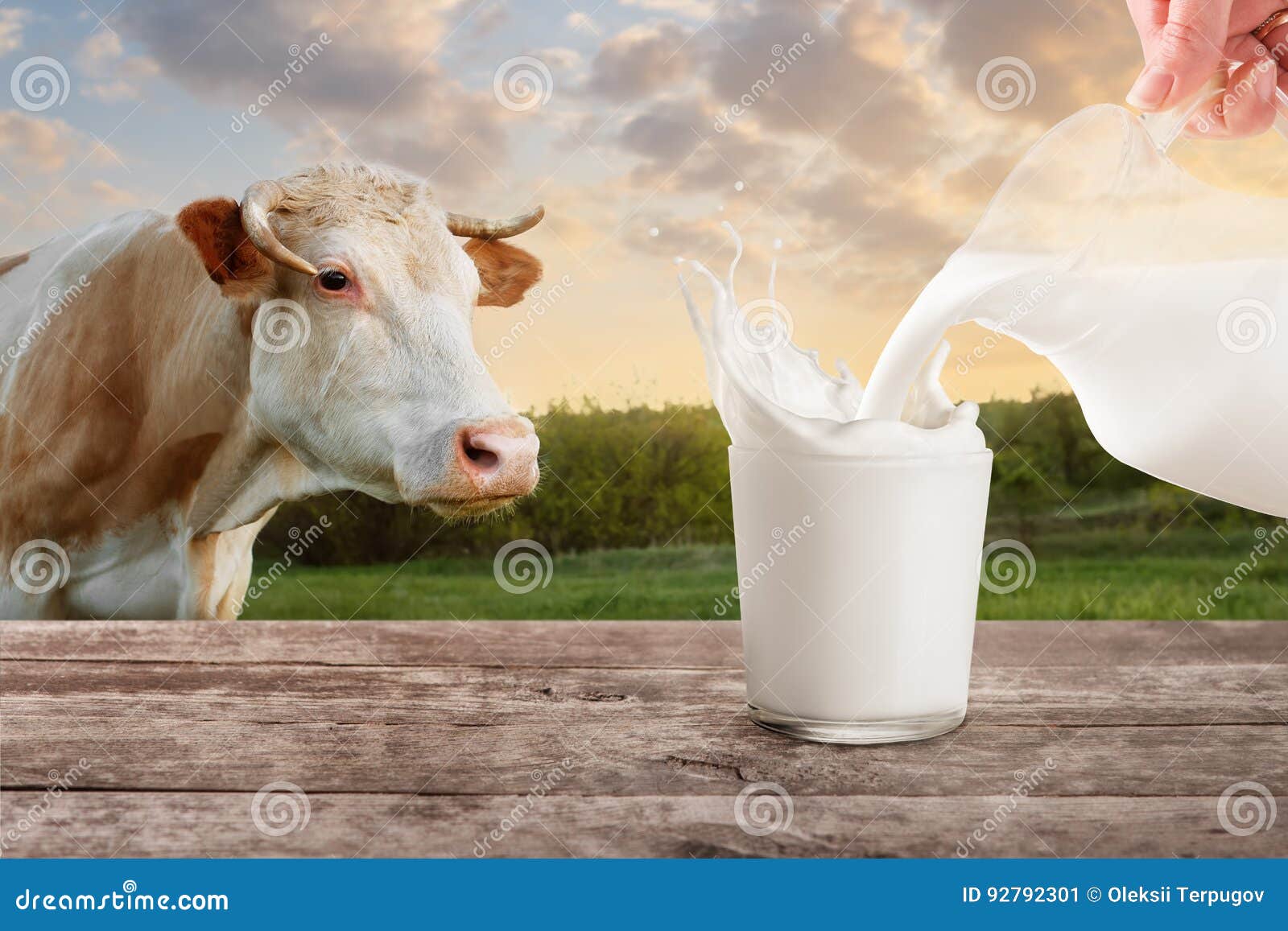 21,639 Milk Jug Glass Stock Photos - Free & Royalty-Free Stock