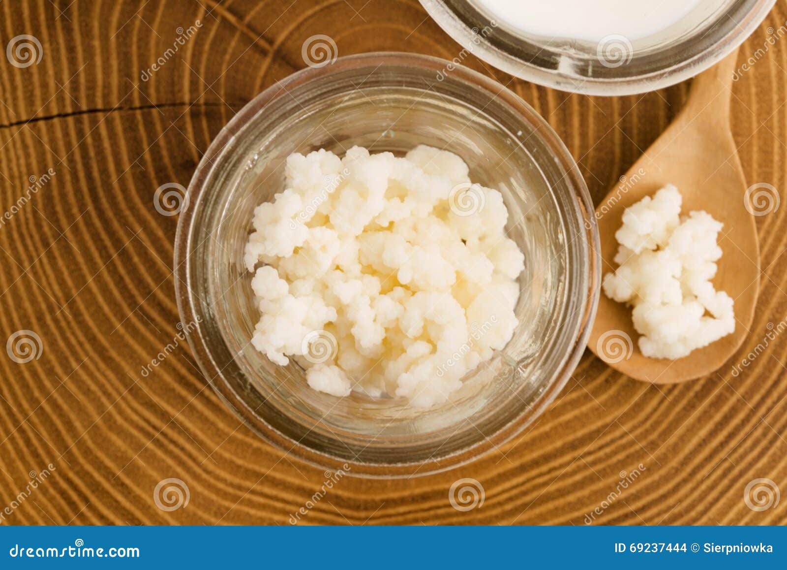 Milk kefir grains stock photo. Image of organic, healthy 69237444