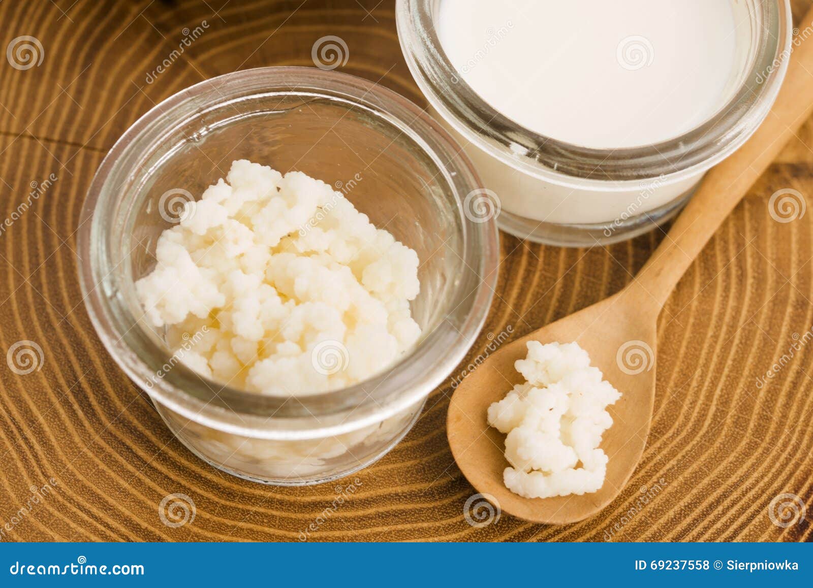 Milk kefir grains stock photo. Image of organic, kephir 69237558