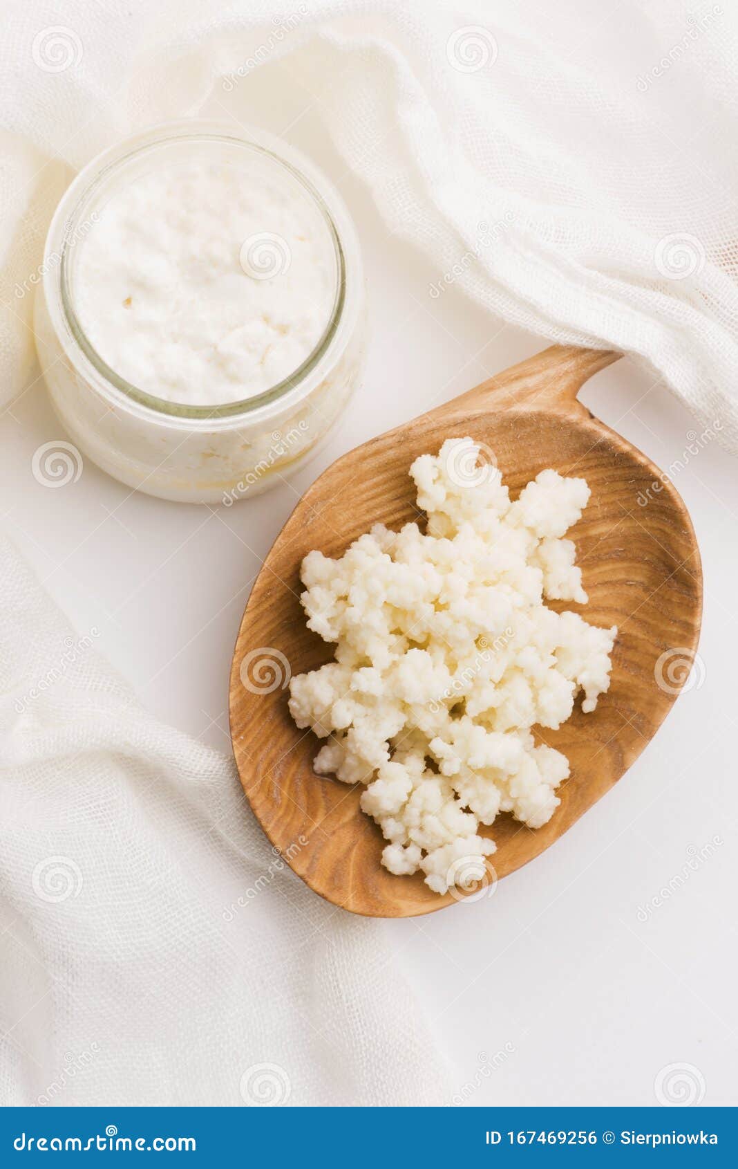 Milk Kefir Grains in Spoon. Yeast Bacterial Fermentation Starter Stock