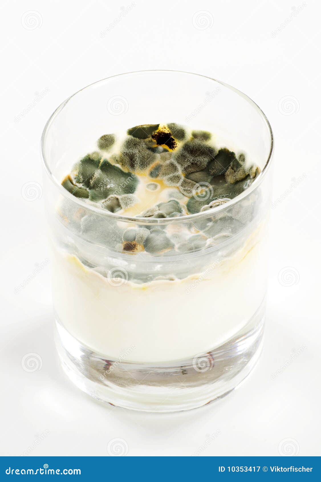 Milk mould stock image. Image of fungus, mould, culture 10353417