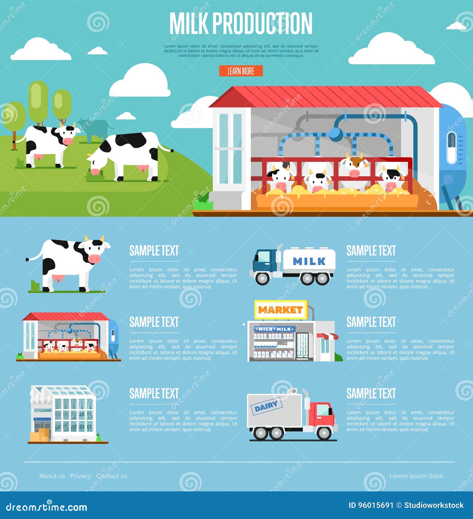 Milk Production Infographics in Flat Style Stock Vector - Illustration ...