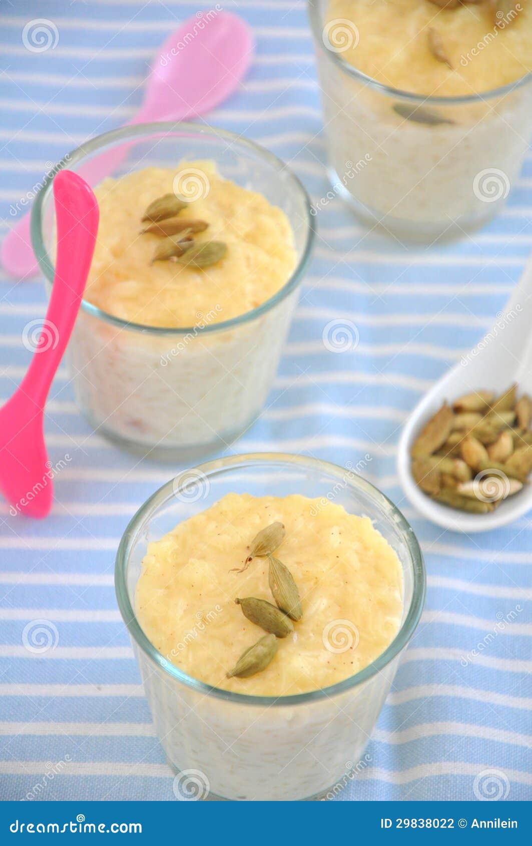 Milk Rice Pudding stock photo. Image of close, colorful 29838022