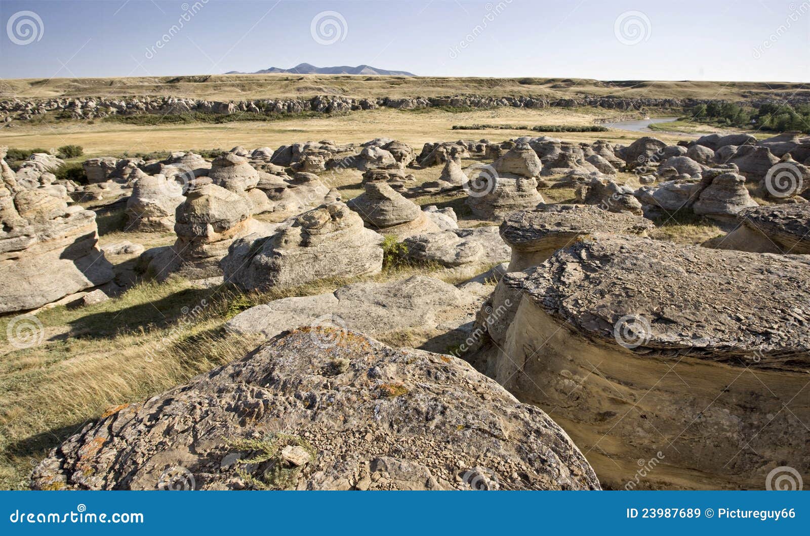 Milk River Alberta Badlands Stock Image Image of canyon, blue 23987689