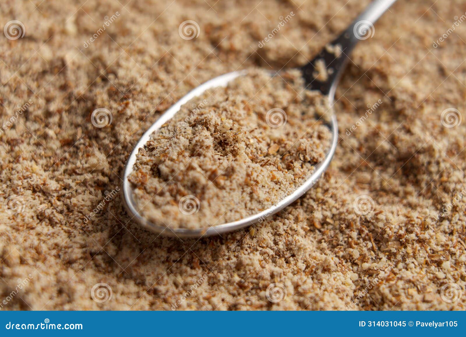 milk thistle seeds medicative powder in spoon. ground silybum marianum
