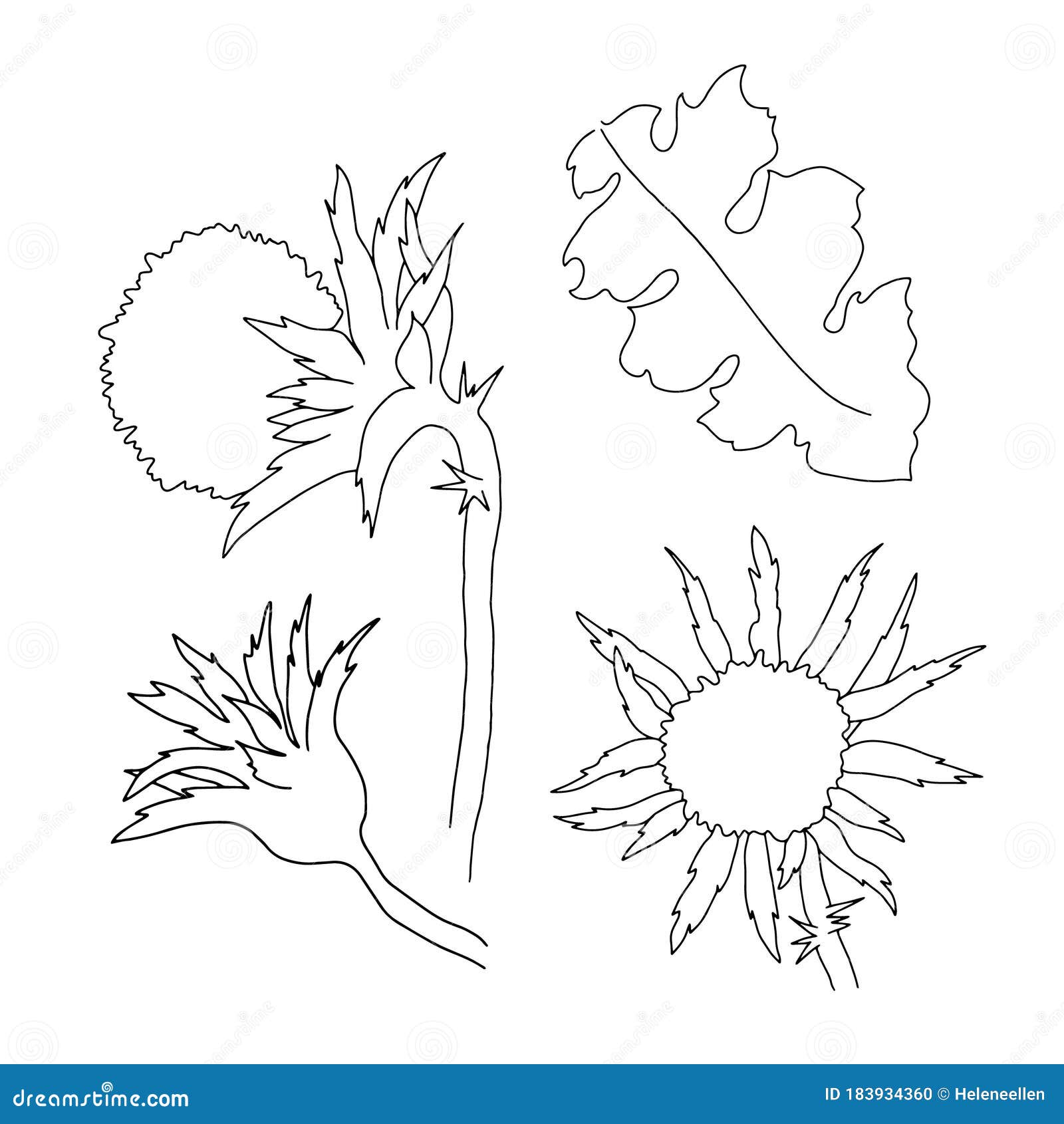 Free Free 146 Outline Wildflower Svg SVG PNG EPS DXF File