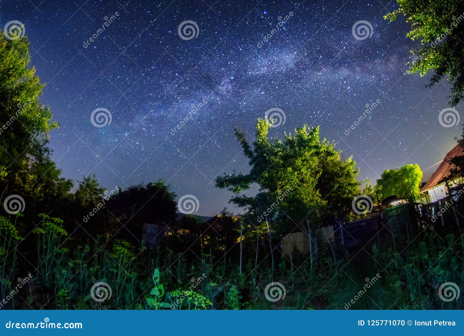 Milky Way Galaxy Shot In The Garden Stock Photo Image Of