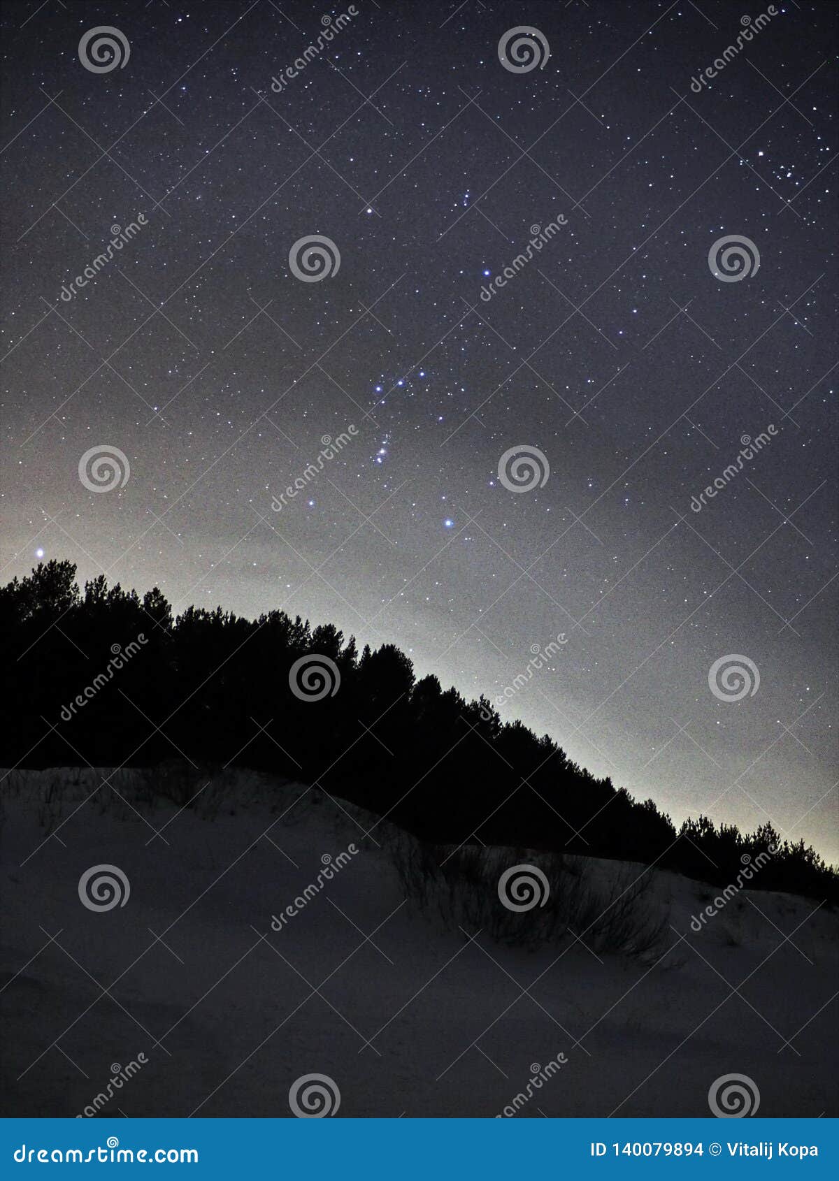 Orion Constellation Night Sky Stars Forest And Snow Stock Photo Image