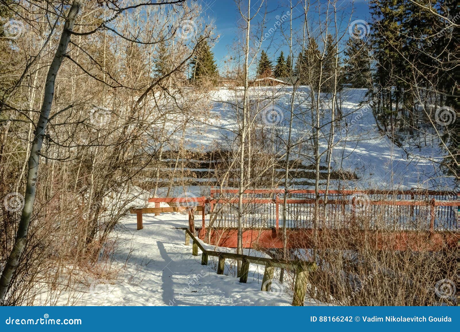 Mill Creek Ravine, Edmonton, Alberta, Canada Stock Photo Image of forest, mill 88166242