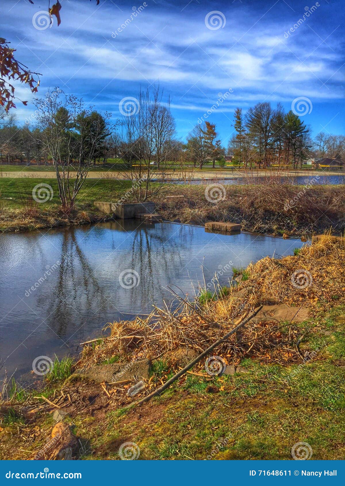 Mill Woods Pond stock image. Image of woods, wethersfield 71648611