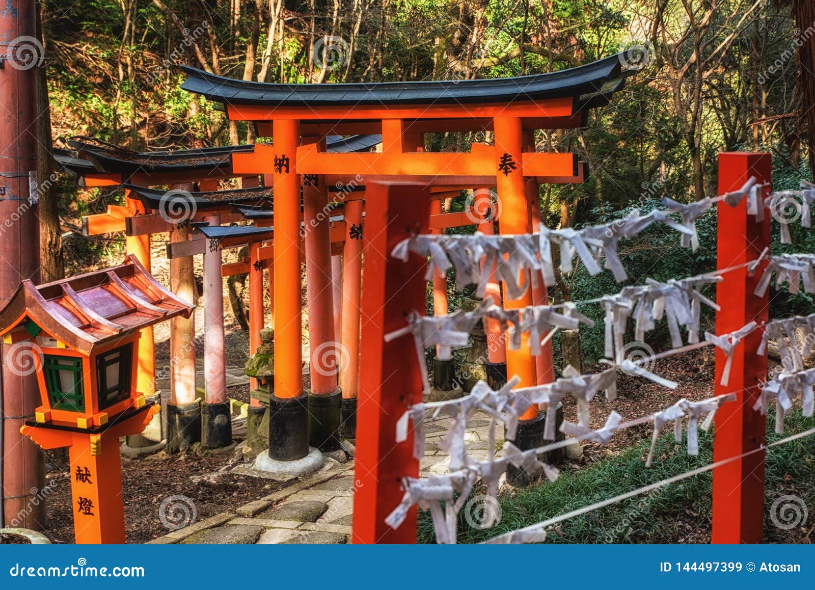Mille Portes De Torii Lclat Dinari De Fushimi Kyoto - 