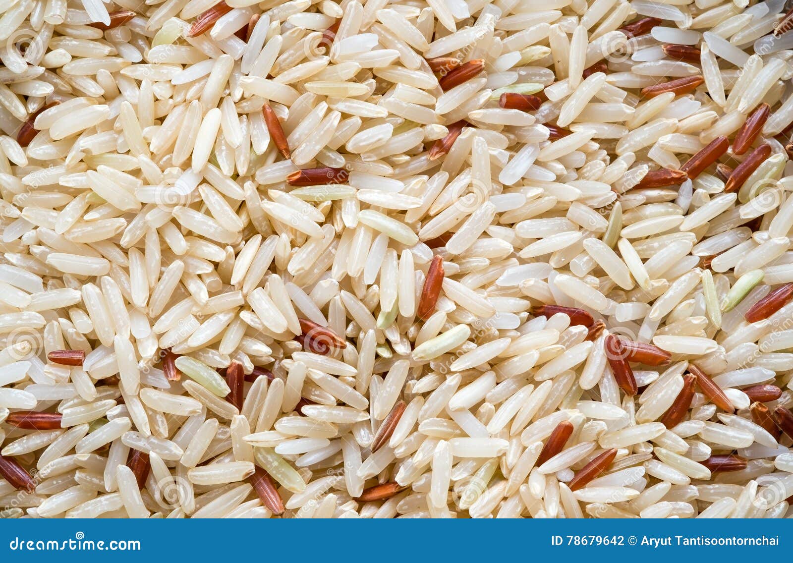 Milled brown rice. stock photo. Image of aging, agriculture 78679642