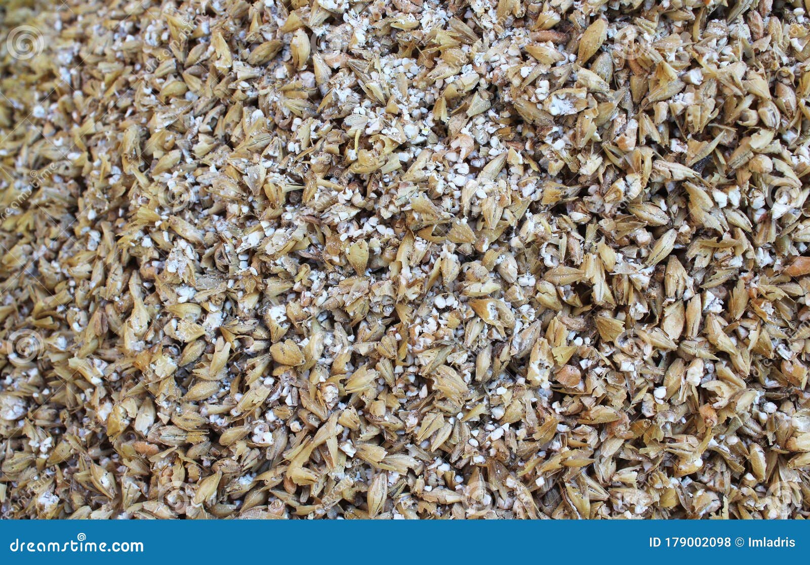 Milled Malted Barley in Close Up, Beer Brewing Ingredient Stock Photo