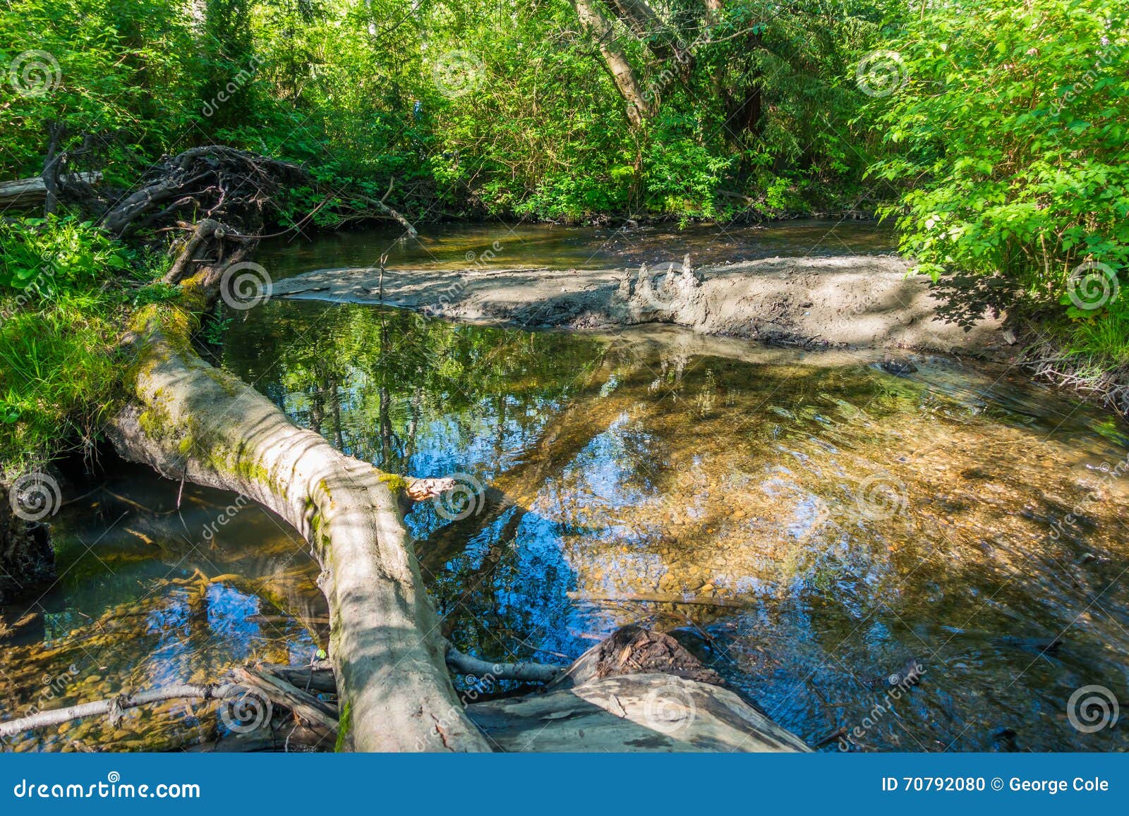 Miller Creek Landscape stock photo. Image of washington 70792080