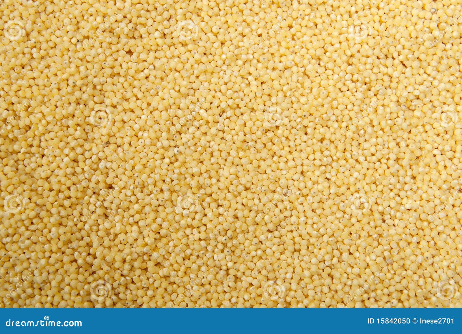 Millet stock photo. Image of eating, staple, grain, healthy 15842050