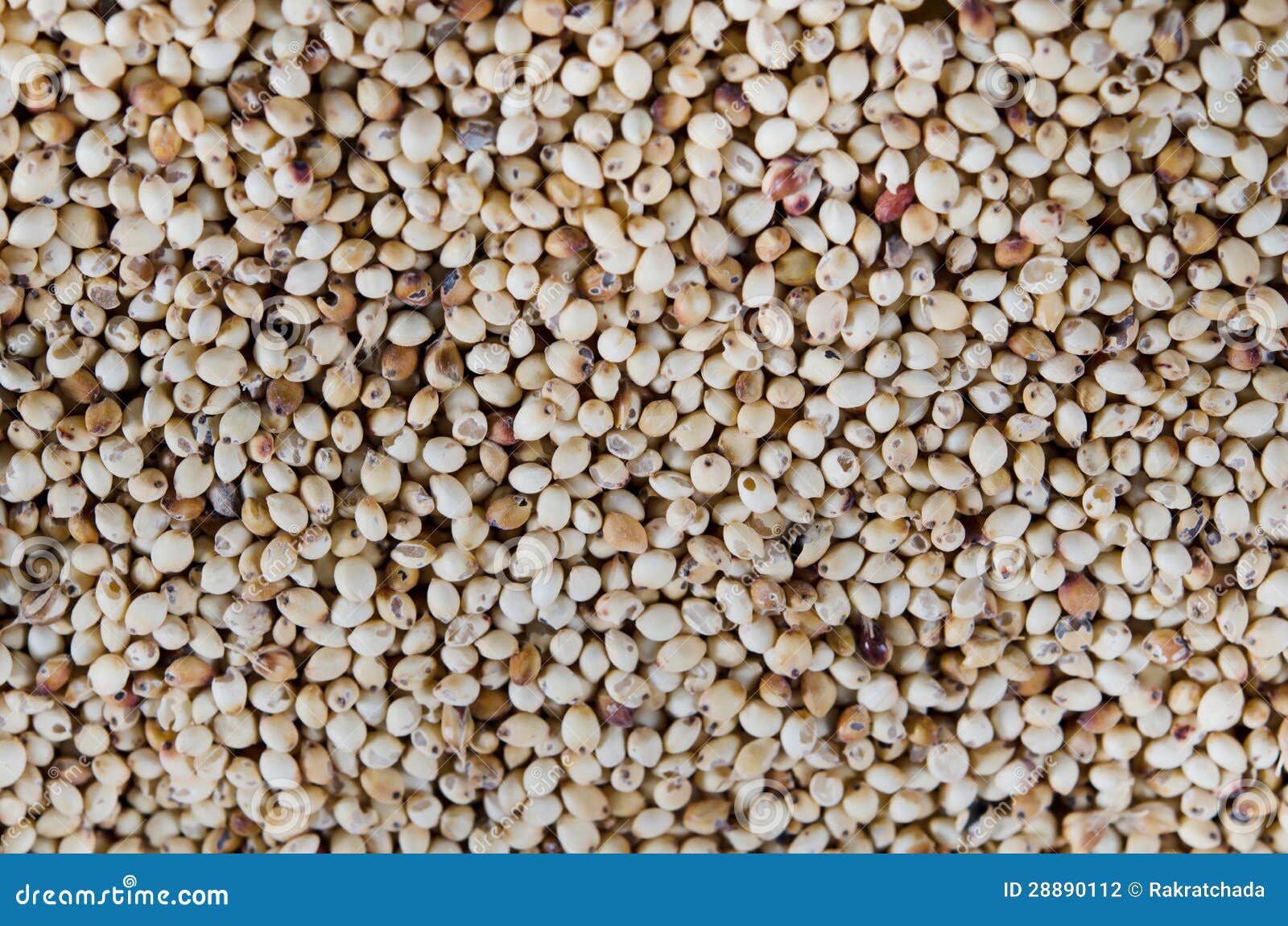 Millet grains stock photo. Image of ingredient, organic 28890112