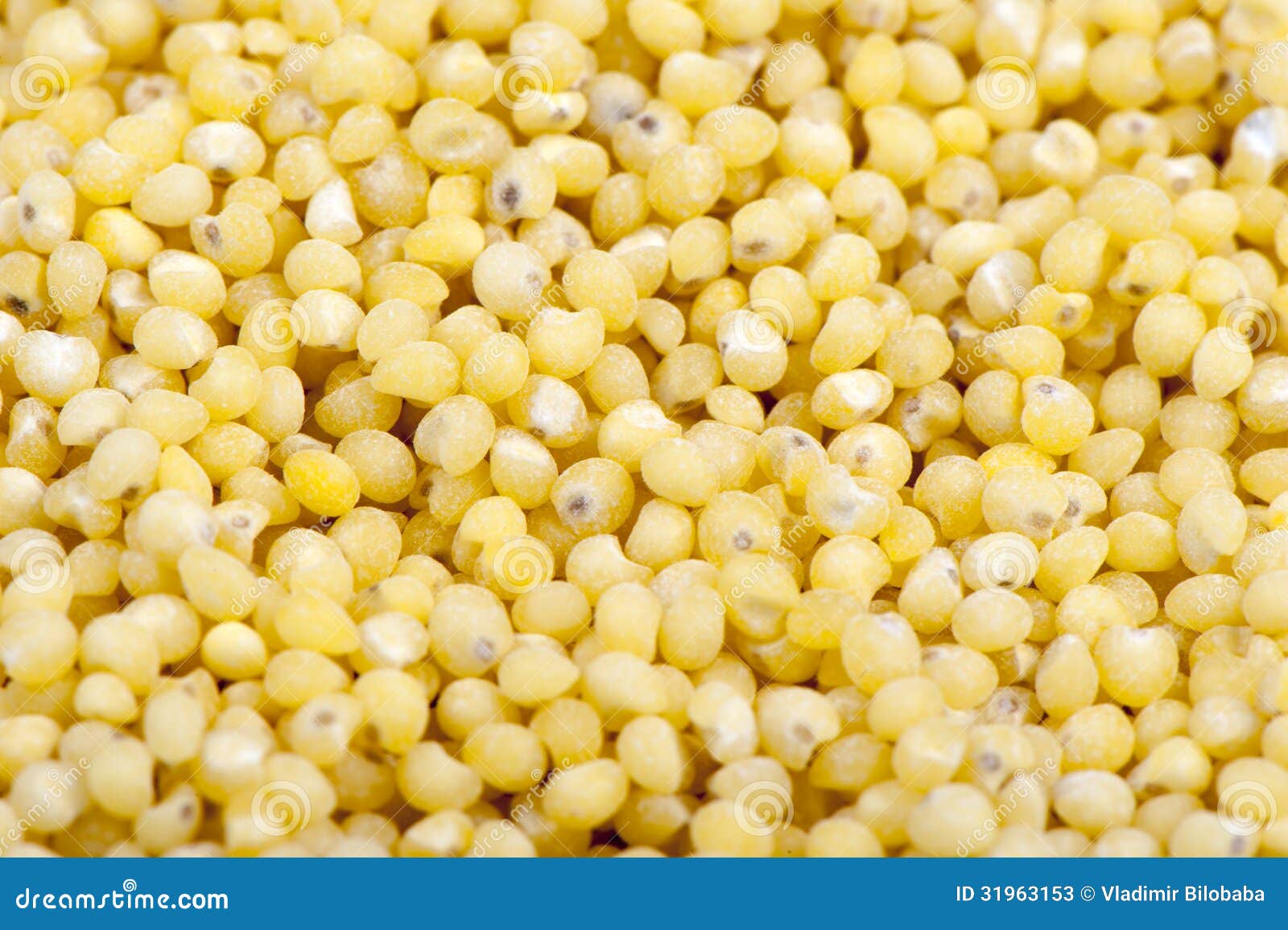 Millet groats stock image. Image of nutritious, millet 31963153