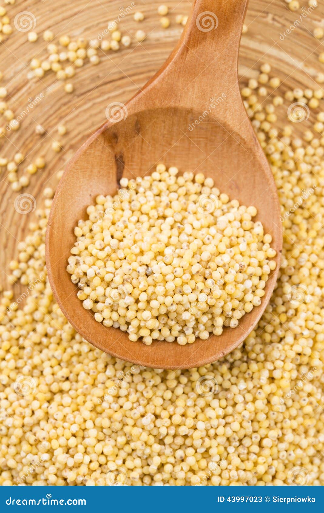 Millet groats stock image. Image of rough, textured, equipment 43997023