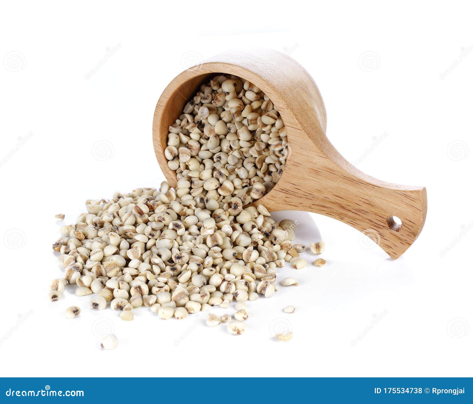 Millet Rice, Millet Grains on White Background Stock Photo Image of