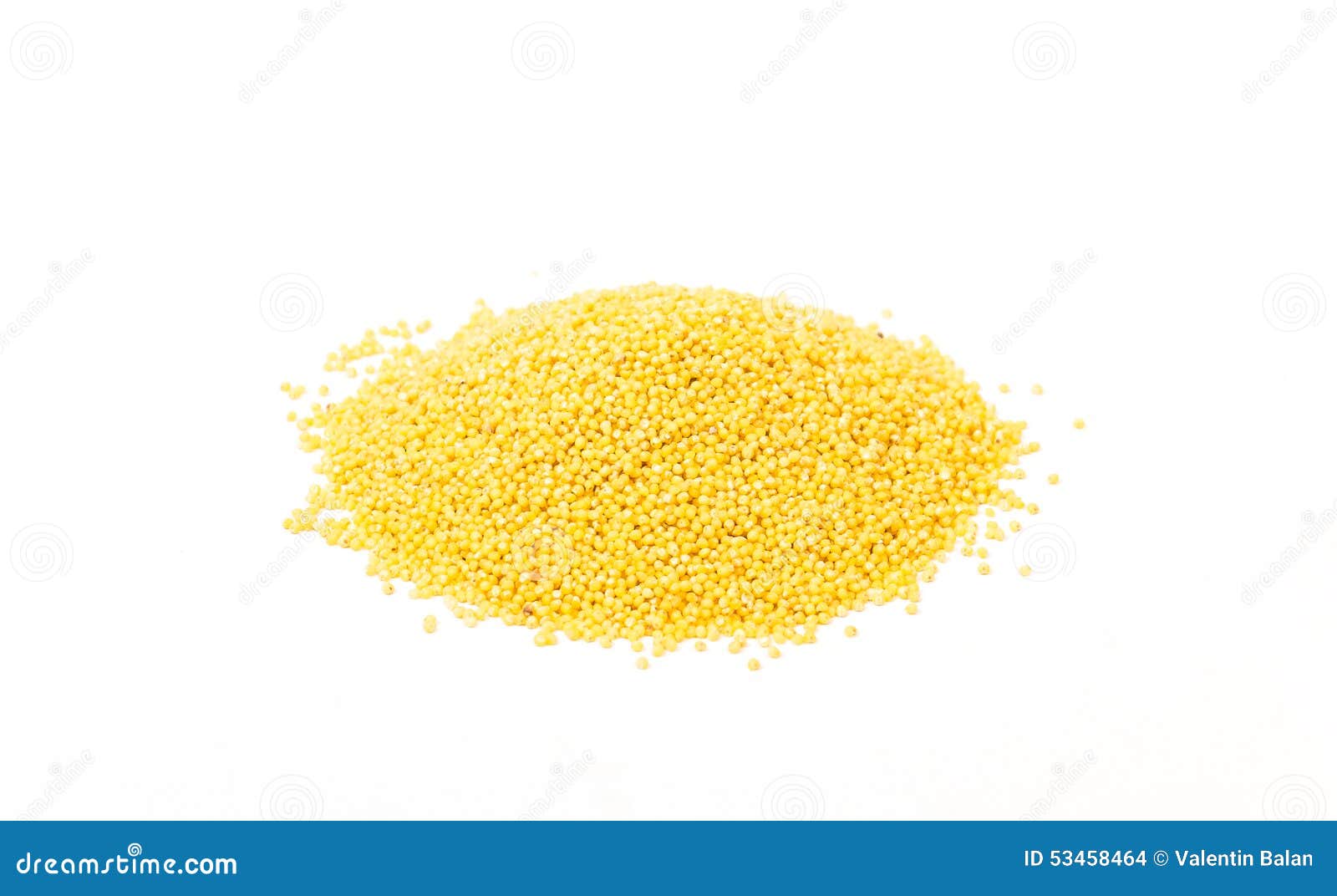 Millet seeds stock photo. Image of seed, food 53458464
