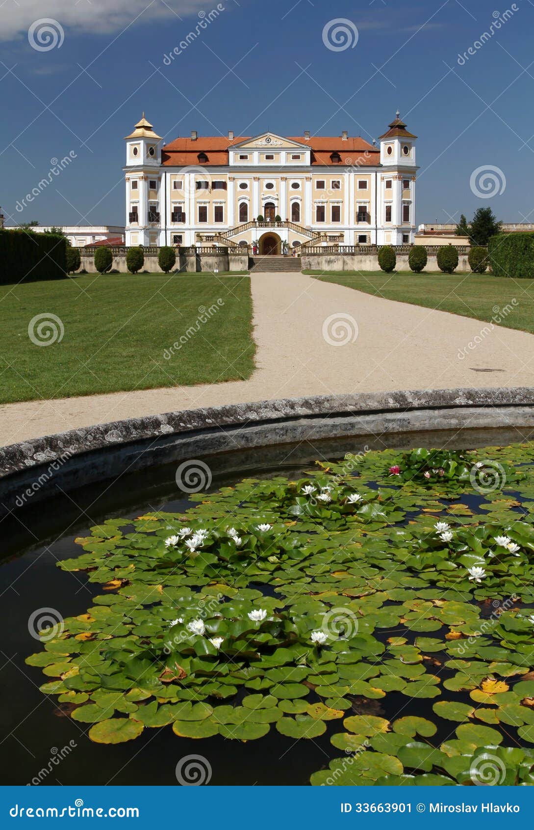 milotice and water lilies