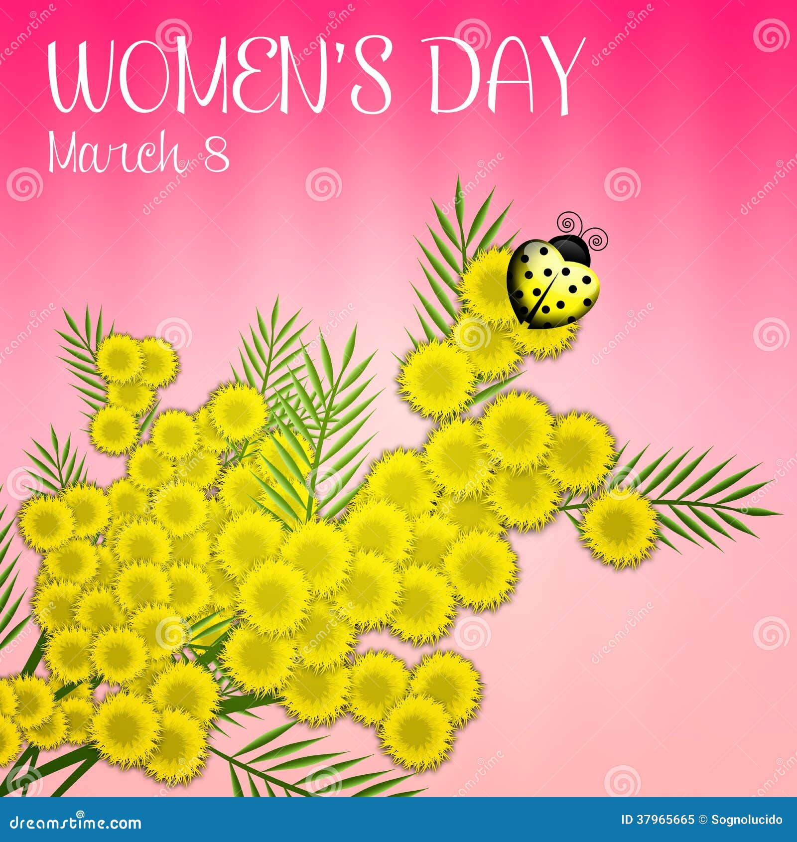 Mimosa Flower for Women S Day Stock Illustration Illustration of