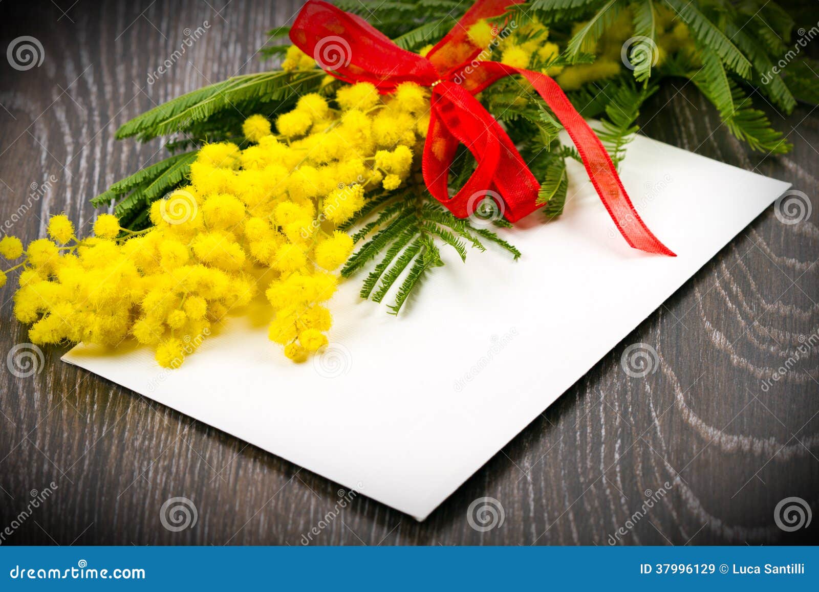 Mimosa, Women s Day stock image. Image of envelope, table 37996129