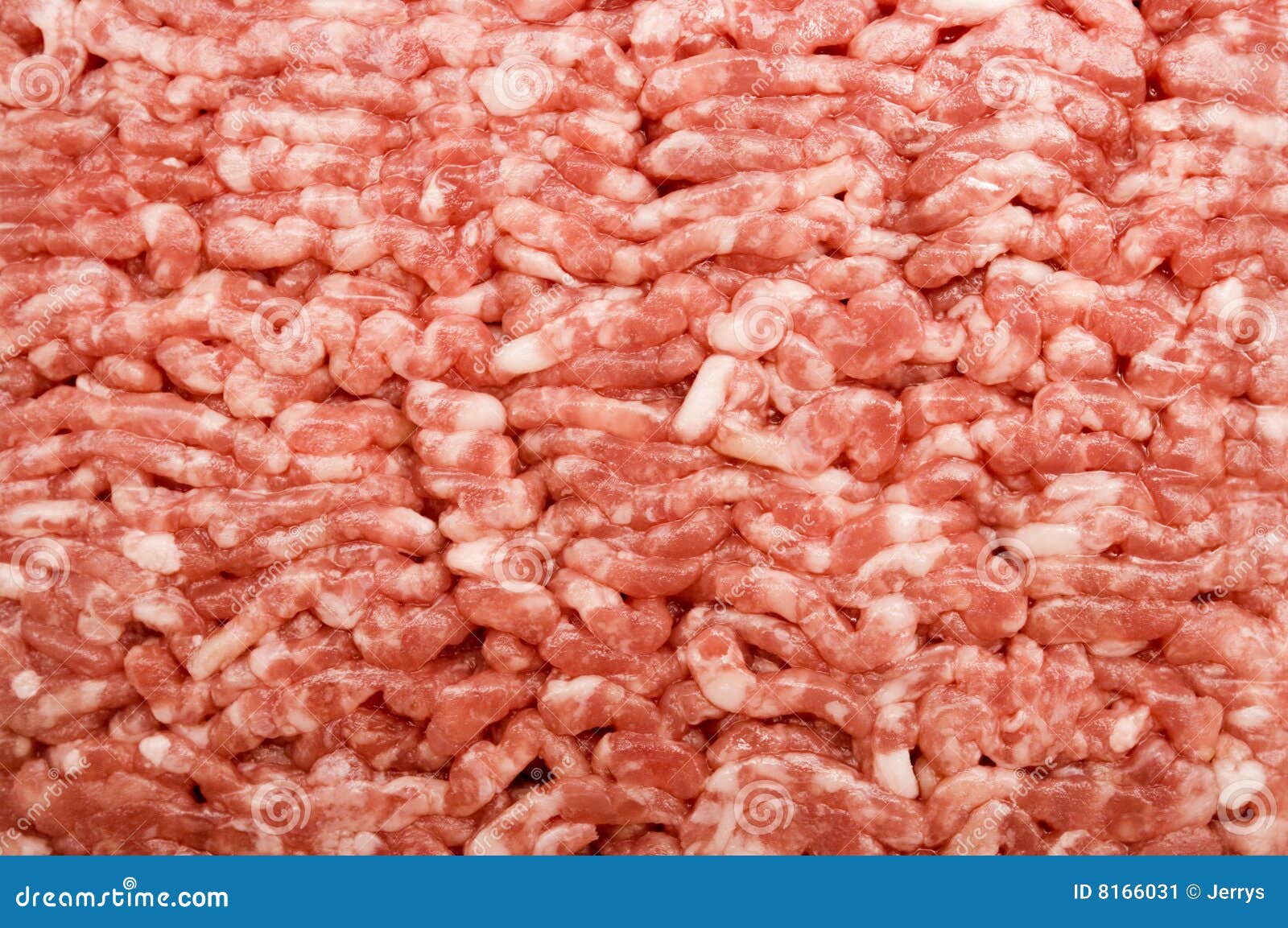 Minced Meat stock image. Image of minced, protein, ingredient 8166031