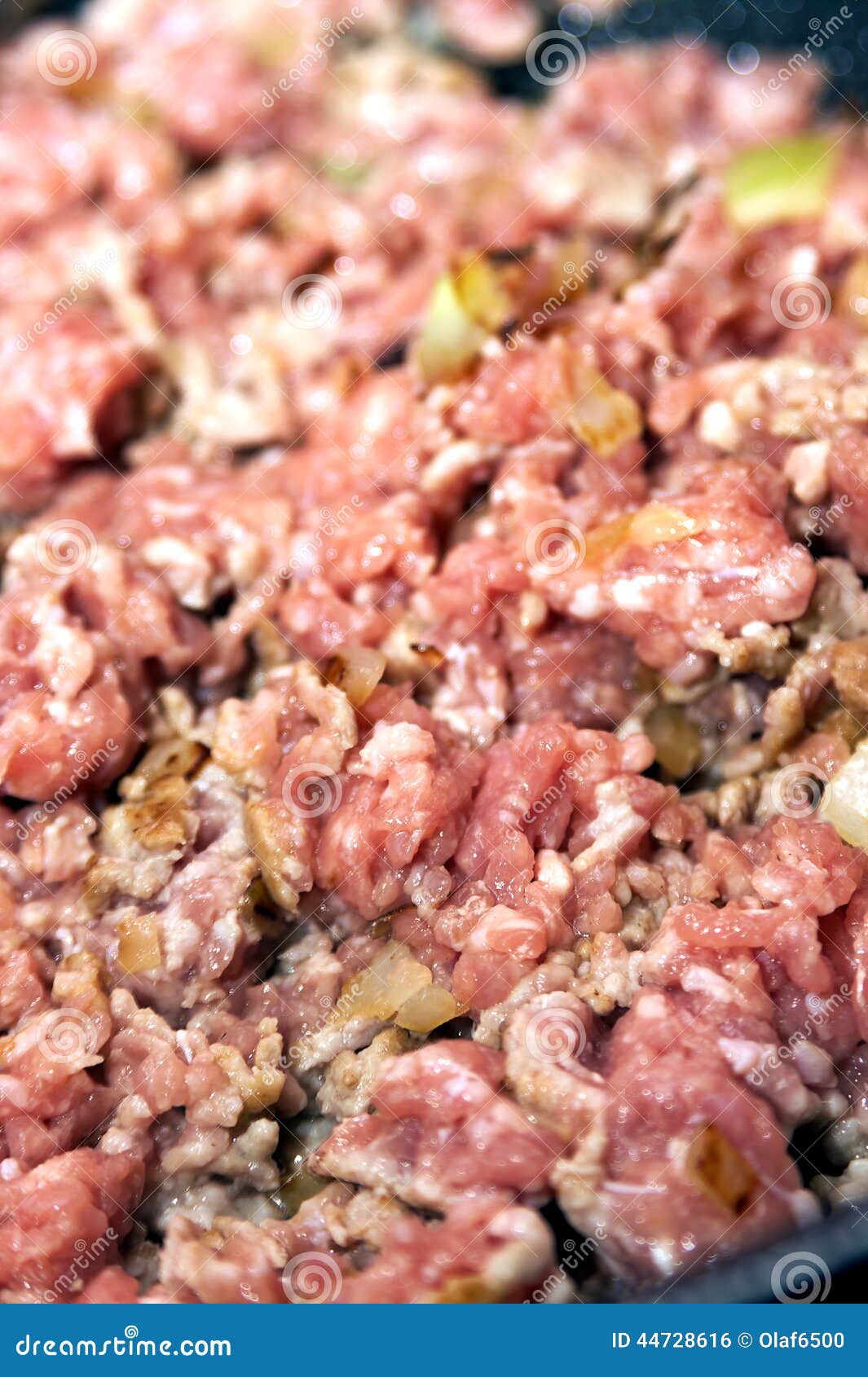 Minced meat with onions stock photo. Image of onion, healthy 44728616