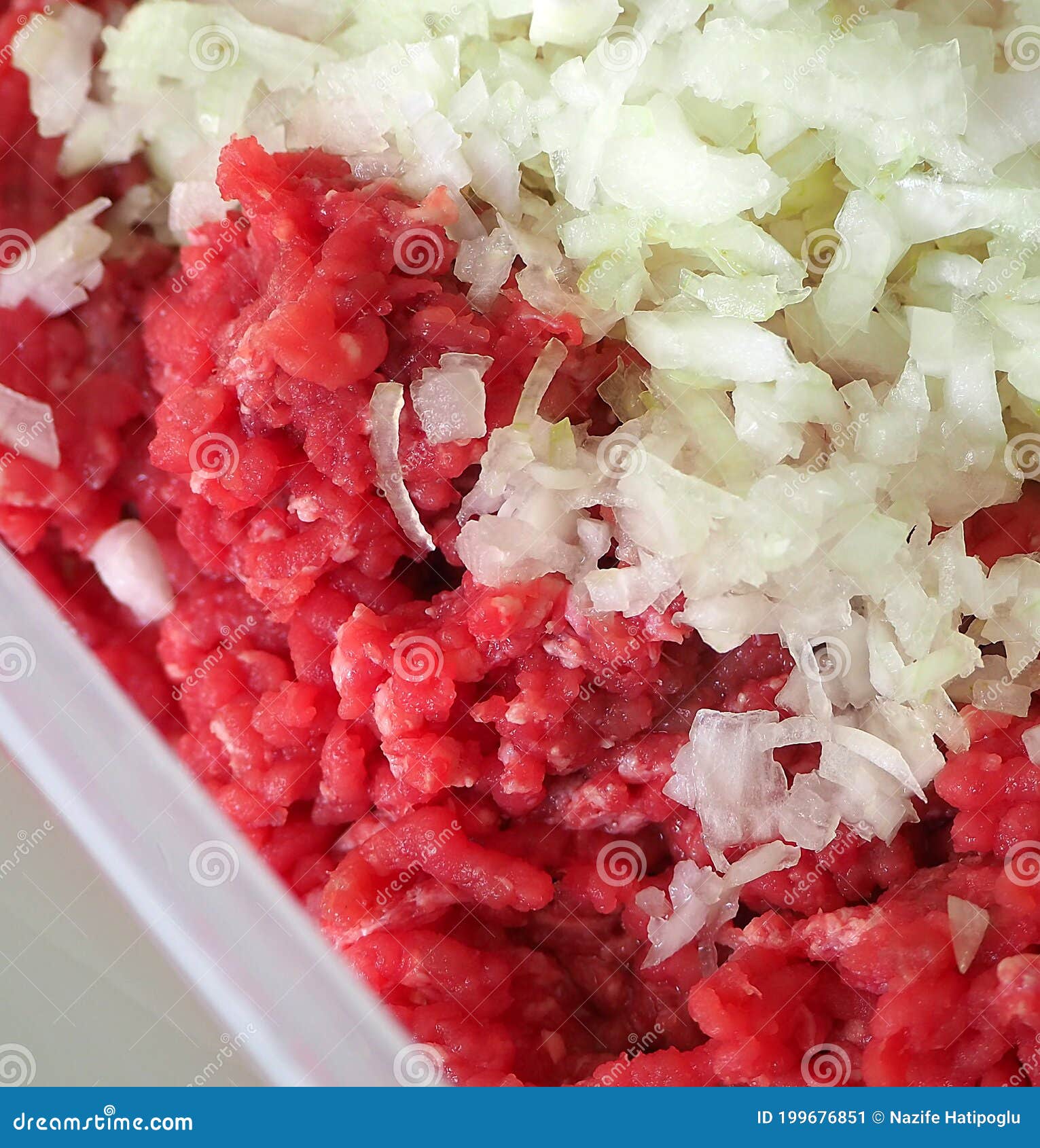 Minced Meat and Onions, Minced Meat and Raw Onions Stock Image Image