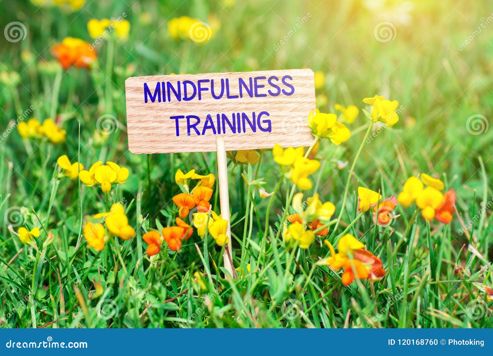 mindfulness training signboard