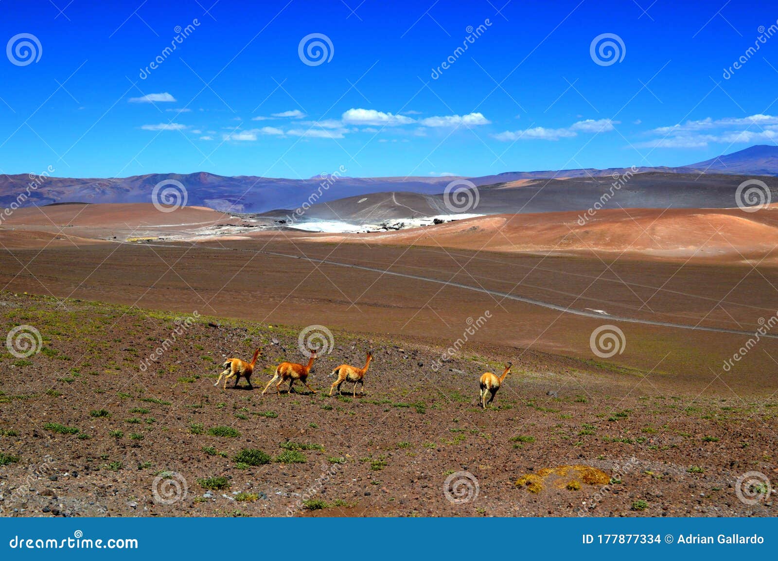 mine `la casualidad`, salta, argentina